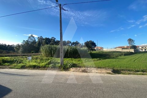 Terra a Fermentelos, Aveiro, Fermentelos - € 55.000 | Ref: 1012166/24 GL - foto 6