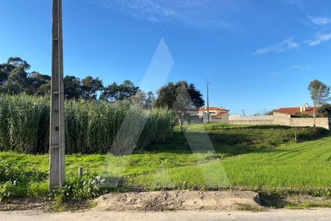 Terra a Fermentelos, Aveiro, Fermentelos - € 55.000 | Ref: 1012166/24 GL - foto 7