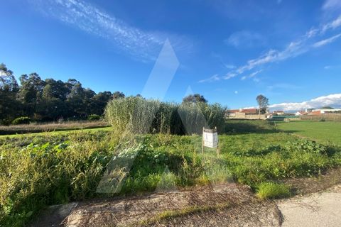 Terra a Fermentelos, Aveiro, Fermentelos - € 55.000 | Ref: 1012166/24 GL - foto 8