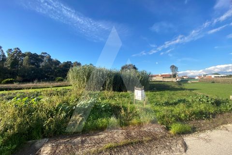 Terra a Fermentelos, Aveiro, Fermentelos - € 55.000 | Ref: 1012166/24 GL - foto 9