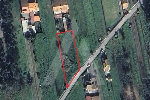 Terra a Fermentelos, Aveiro, Fermentelos - € 55.000 | Ref: 1012166/24 GL - foto 11