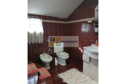 Farm i Miranda do Corvo, Coimbra, Miranda do Corvo - € 576.000 | Ref: MAS_162 - foto 14