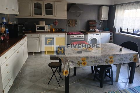 Farm i Miranda do Corvo, Coimbra, Miranda do Corvo - € 576.000 | Ref: MAS_162 - foto 24