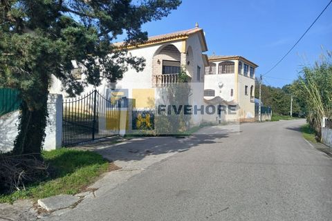 Farm i Miranda do Corvo, Coimbra, Miranda do Corvo - € 576.000 | Ref: MAS_162 - foto 28