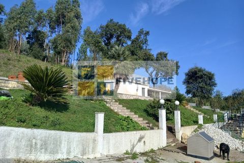 Farm i Miranda do Corvo, Coimbra, Miranda do Corvo - € 576.000 | Ref: MAS_162 - foto 30
