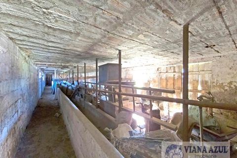 Farm i Viana do Castelo, Viana do Castelo, Viana do Castelo - € 380.000 | Ref: 2163 - foto 26