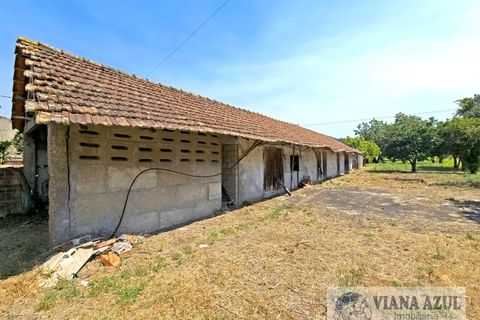 Farm i Viana do Castelo, Viana do Castelo, Viana do Castelo - € 380.000 | Ref: 2163 - foto 29