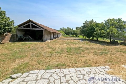Farm i Viana do Castelo, Viana do Castelo, Viana do Castelo - € 380.000 | Ref: 2163 - foto 30