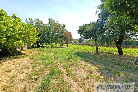 Farm i Viana do Castelo, Viana do Castelo, Viana do Castelo - € 380.000 | Ref: 2163 - foto 31