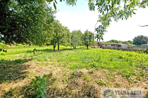 Farm i Viana do Castelo, Viana do Castelo, Viana do Castelo - € 380.000 | Ref: 2163 - foto 32