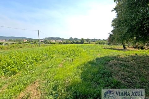 Farm i Viana do Castelo, Viana do Castelo, Viana do Castelo - € 380.000 | Ref: 2163 - foto 33