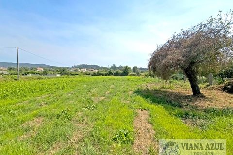 Farm i Viana do Castelo, Viana do Castelo, Viana do Castelo - € 380.000 | Ref: 2163 - foto 34