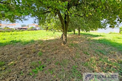 Farm i Viana do Castelo, Viana do Castelo, Viana do Castelo - € 380.000 | Ref: 2163 - foto 35