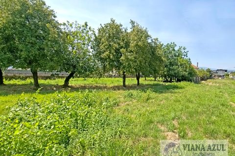 Farm i Viana do Castelo, Viana do Castelo, Viana do Castelo - € 380.000 | Ref: 2163 - foto 36
