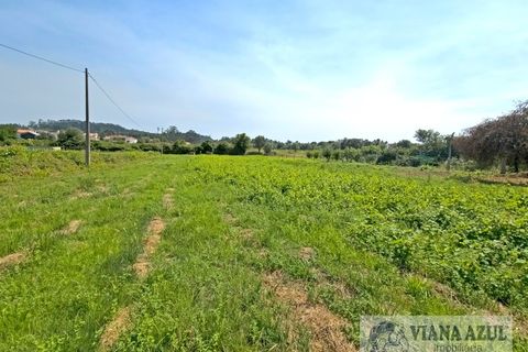 Farm i Viana do Castelo, Viana do Castelo, Viana do Castelo - € 380.000 | Ref: 2163 - foto 37