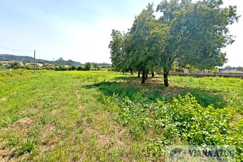Farm i Viana do Castelo, Viana do Castelo, Viana do Castelo - € 380.000 | Ref: 2163 - foto 38
