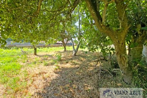 Farm i Viana do Castelo, Viana do Castelo, Viana do Castelo - € 380.000 | Ref: 2163 - foto 39