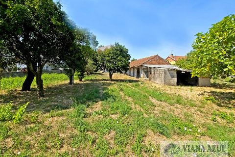 Farm i Viana do Castelo, Viana do Castelo, Viana do Castelo - € 380.000 | Ref: 2163 - foto 41