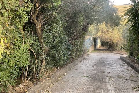 Villa i Caltanissetta, Caltanissetta, Caltanissetta - € 275.000 | Ref: VL97 - foto 4