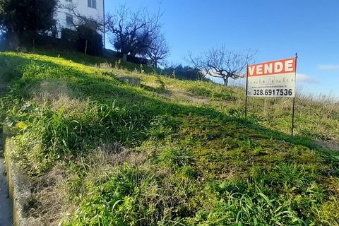 Terra a Montegranaro, Fermo, Montegranaro - € 320.000 | Ref: Mc5-41818 - foto 9