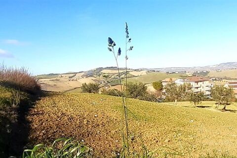 Terra a Montegranaro, Fermo, Montegranaro - € 320.000 | Ref: Mc5-41818 - foto 10