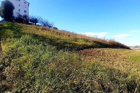 Terra a Montegranaro, Fermo, Montegranaro - € 320.000 | Ref: Mc5-41818 - foto 11