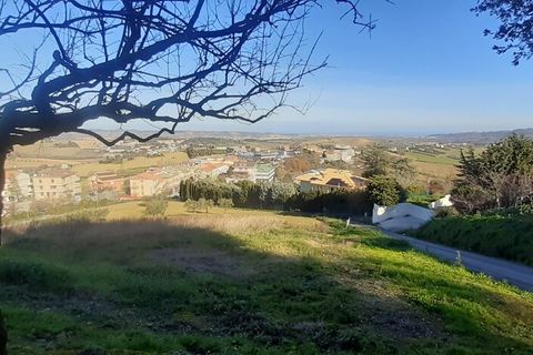 Terra a Montegranaro, Fermo, Montegranaro - € 320.000 | Ref: Mc5-41818 - foto 2