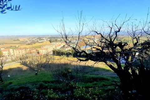 Terra a Montegranaro, Fermo, Montegranaro - € 320.000 | Ref: Mc5-41818 - foto 6