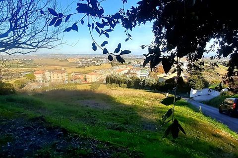 Terra a Montegranaro, Fermo, Montegranaro - € 320.000 | Ref: Mc5-41818 - foto 7