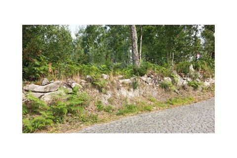 Helårsgrund i Caminha, Viana do Castelo, Caminha - € 70.000 | Ref: F1-02-129 - foto 2