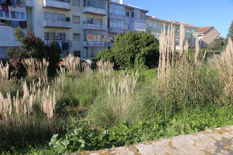 Helårsgrund i Sintra, Lisbon, Sintra - € 255.000 | Ref: 1747-01941 - foto 8