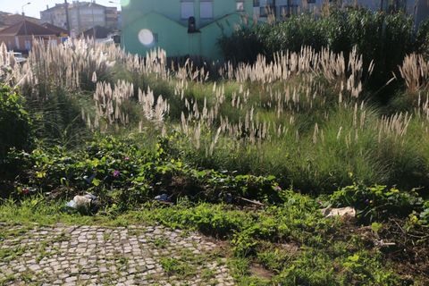Helårsgrund i Sintra, Lisbon, Sintra - € 255.000 | Ref: 1747-01941 - foto 11