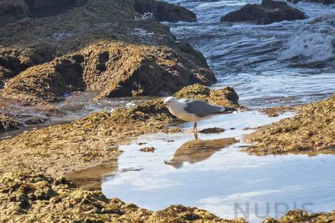 Lejlighed i Alvor, Faro, Alvor - € 900.000 | Ref: NU_5669_E - foto 17