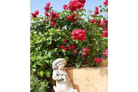 Villa i Silves, Faro, Silves - € 4.000.000 | Ref: NU_5694 - foto 12