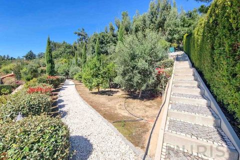 Villa i Monchique, Faro, Monchique - € 949.000 | Ref: NU_5659 - foto 40