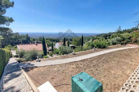 Villa i Monchique, Faro, Monchique - € 949.000 | Ref: NU_5659 - foto 42