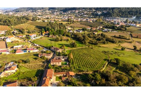 Granja a Barcelos, Braga, Barcelos - € 550.000 | Ref: 017-3311 - foto 4