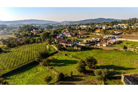 Granja a Barcelos, Braga, Barcelos - € 550.000 | Ref: 017-3311 - foto 8