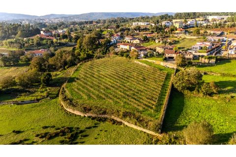 Granja a Barcelos, Braga, Barcelos - € 550.000 | Ref: 017-3311 - foto 10