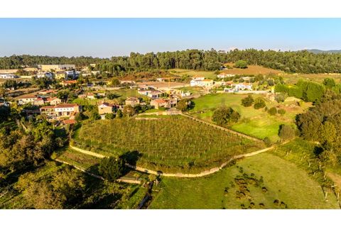 Granja a Barcelos, Braga, Barcelos - € 550.000 | Ref: 017-3311 - foto 12