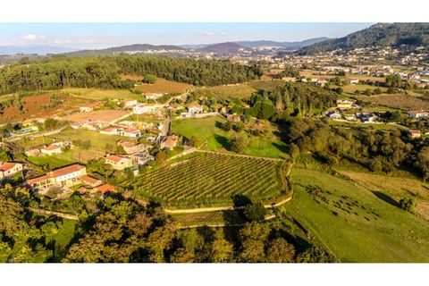 Granja a Barcelos, Braga, Barcelos - € 550.000 | Ref: 017-3311 - foto 13