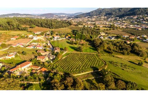 Granja a Barcelos, Braga, Barcelos - € 550.000 | Ref: 017-3311 - foto 14