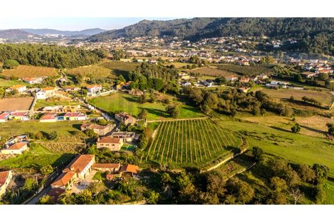 Granja a Barcelos, Braga, Barcelos - € 550.000 | Ref: 017-3311 - foto 15