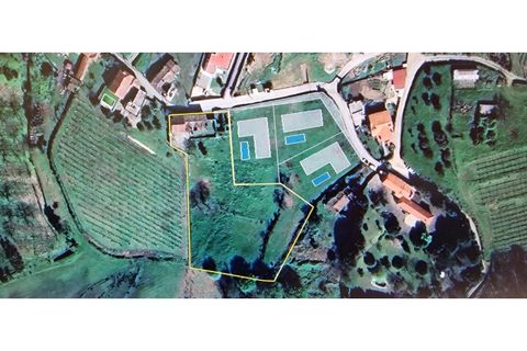 Granja a Barcelos, Braga, Barcelos - € 550.000 | Ref: 017-3311 - foto 17