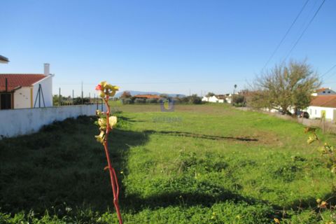 Terra a Assentiz, Santarem, Assentiz - € 197.000 | Ref: VAT-216453 - foto 8