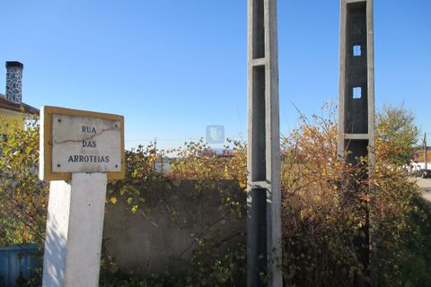 Terra a Assentiz, Santarem, Assentiz - € 197.000 | Ref: VAT-216453 - foto 7