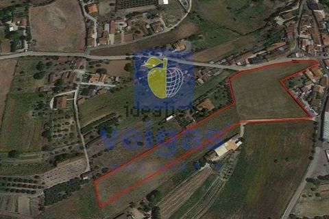 Terra a Assentiz, Santarem, Assentiz - € 197.000 | Ref: VAT-216453 - foto 2