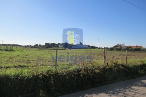 Terra a Assentiz, Santarem, Assentiz - € 197.000 | Ref: VAT-216453 - foto 9