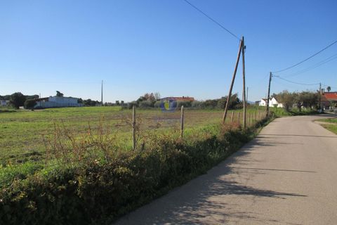Terra a Assentiz, Santarem, Assentiz - € 197.000 | Ref: VAT-216453 - foto 3
