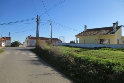Terra a Assentiz, Santarem, Assentiz - € 197.000 | Ref: VAT-216453 - foto 14